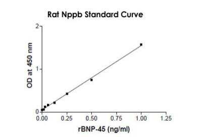 ELISA: NPPB ELISA Kit [Biotin] [KA0979] - Standard curve